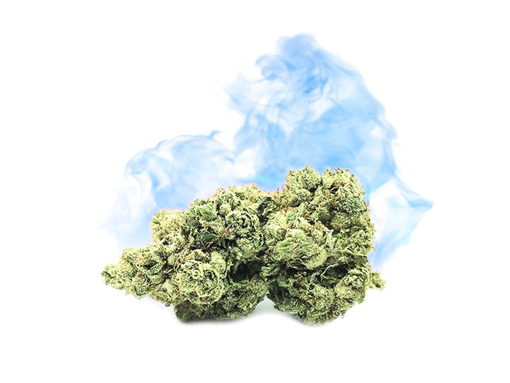 HHCO Flowers BULK Canapuff Wholesale